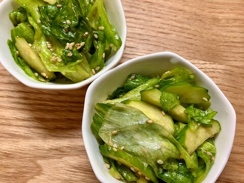 フリフリ簡単♪レタスときゅうりのチョレギ風サラダ